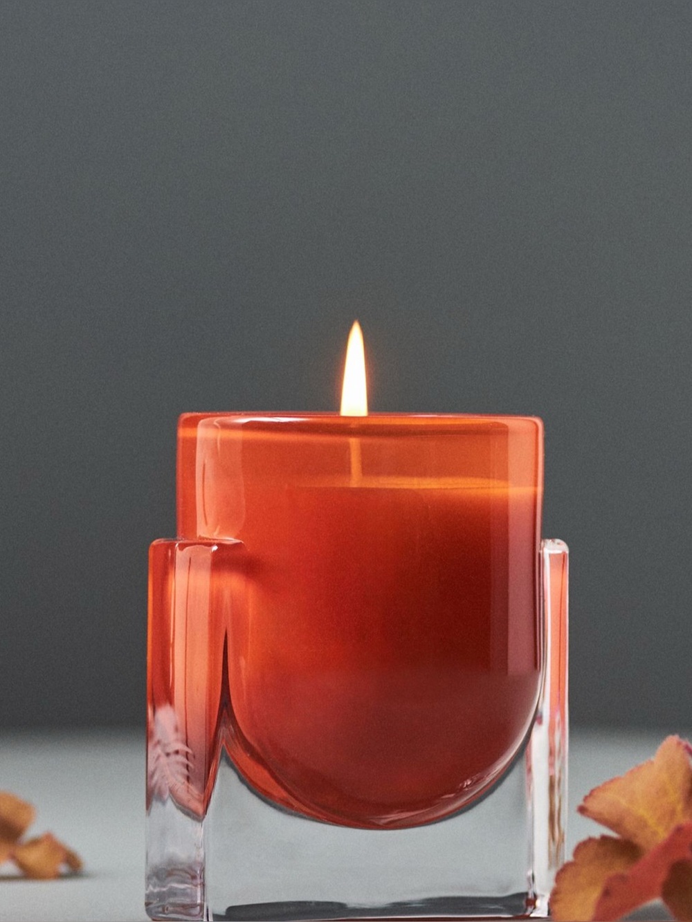 Anthropologie Golden Amber & Pine Boxed Candle
